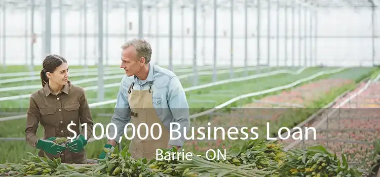$100,000 Business Loan Barrie - ON